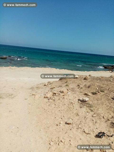 Terrain vue sur mer à Dar Allouche Kélibia