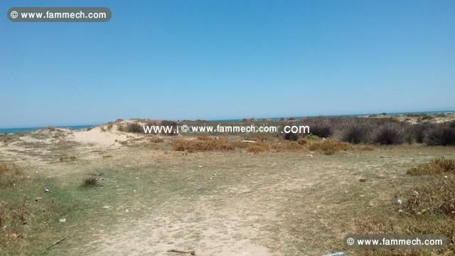Terrain West T524 