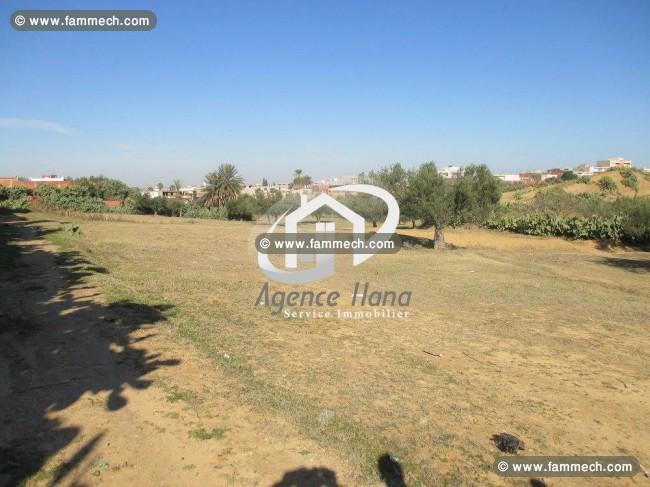 terrain zaramdine 