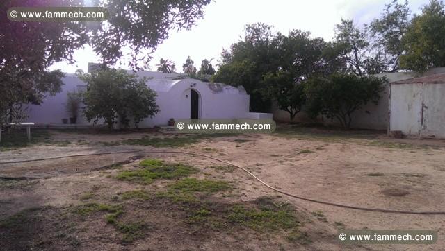 Terrain Zen reference T273 Hammamet