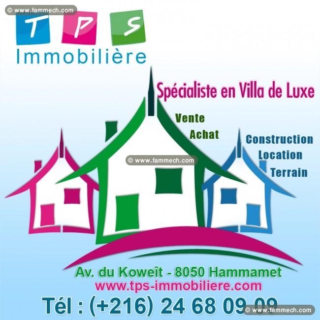 TERRAINB PRIMA T255