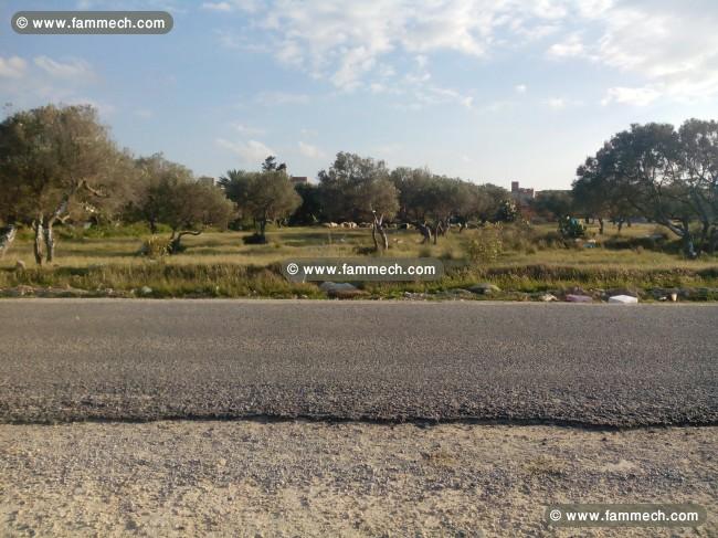 Terrains 2056 m² 