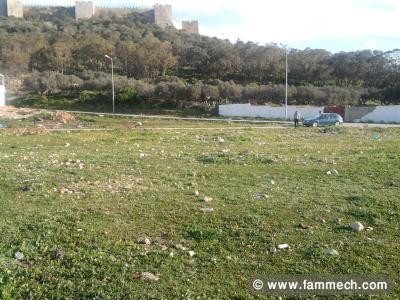 terrains a vendre