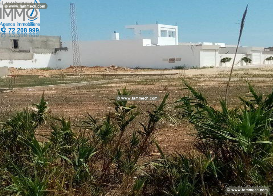 terrains a vendre à dar allouche kélibia 29711072