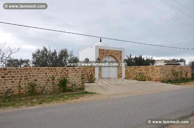 Terran Jihen T334 Hammamet 