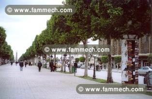 Tunis Avenue Bourguiba Fond tout commerce