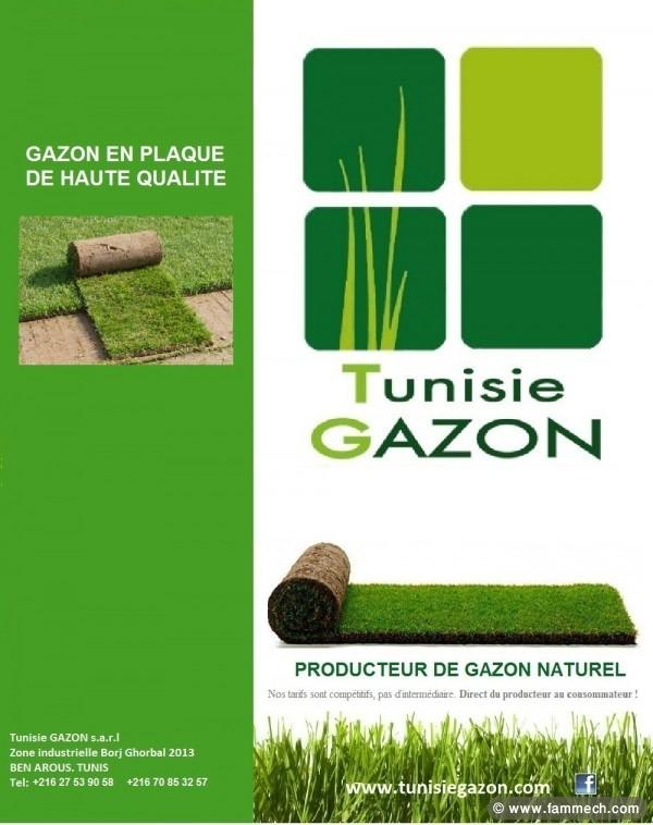 Tunisie gazon sarl producteur de gazon naturel 
