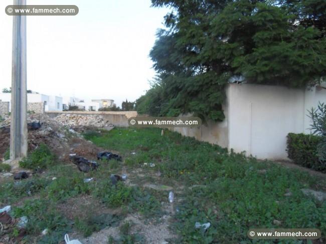 Un beau terrain Cité les Pins La Marsa CS-56697f