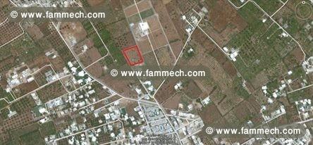 Un beau terrain Hammamet CS-56191c