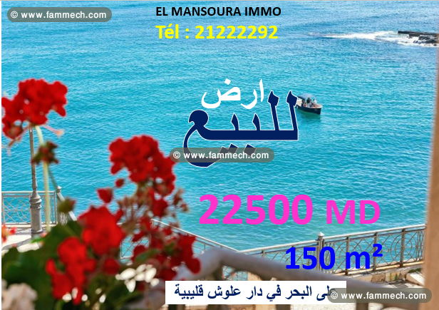 un bon terrain front mer 