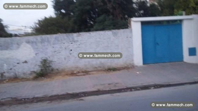 Un jolie terrain Hammamet nord CS-566851