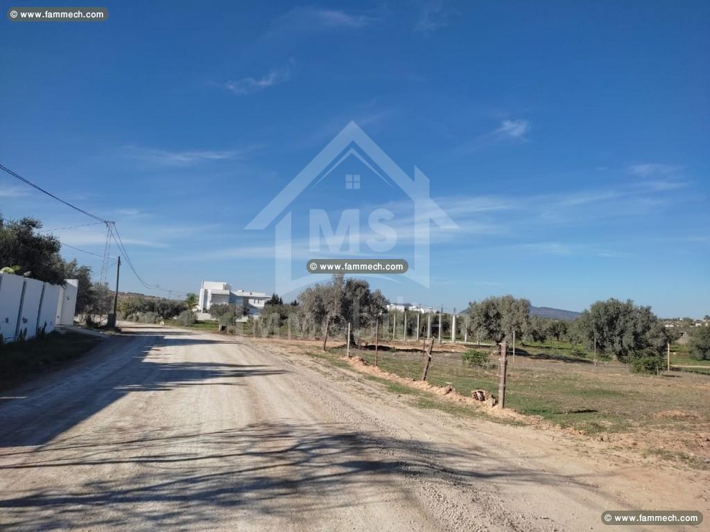 Un lot de terrain à vendre à 110 MD à Hammamet Sud