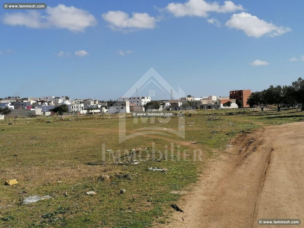 Un lot de terrain à vendre à Hammamet à 55 MD 