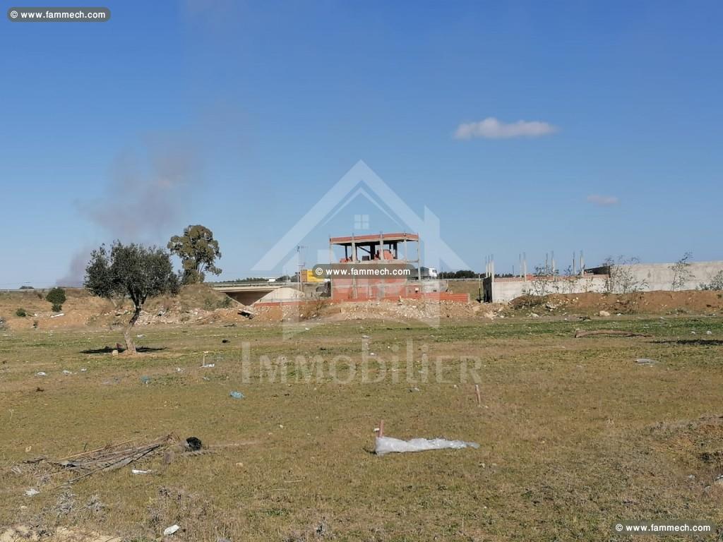 Un lot de terrain à vendre à Hammamet à 55 MD 