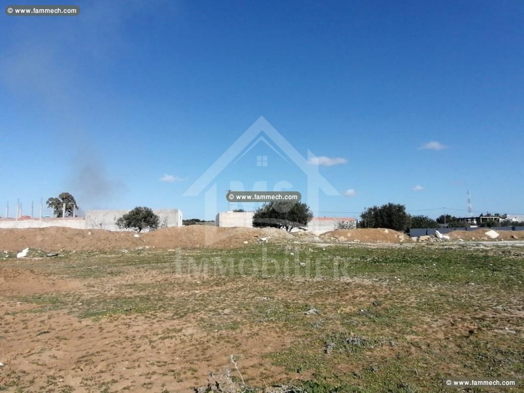 Un lot de terrain à vendre à Hammamet à 55 MD
