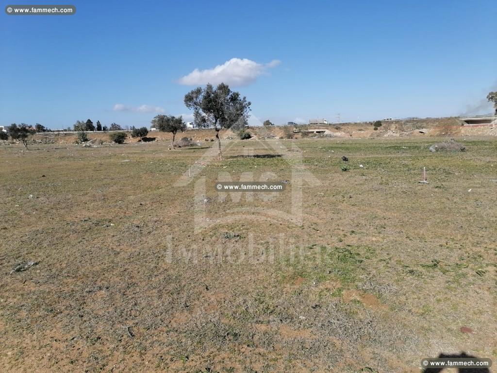 Un lot de terrain de 258 m² à vendre à 55 MD 