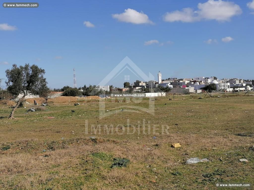 Un lot de terrain de 258 m² à vendre à Hammamet