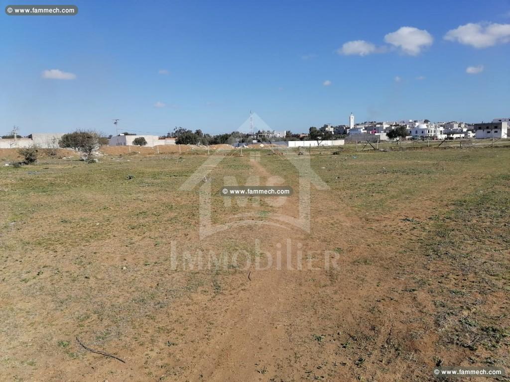 un lotissement de terrain à VENDRE à HAMMAMET SUD 
