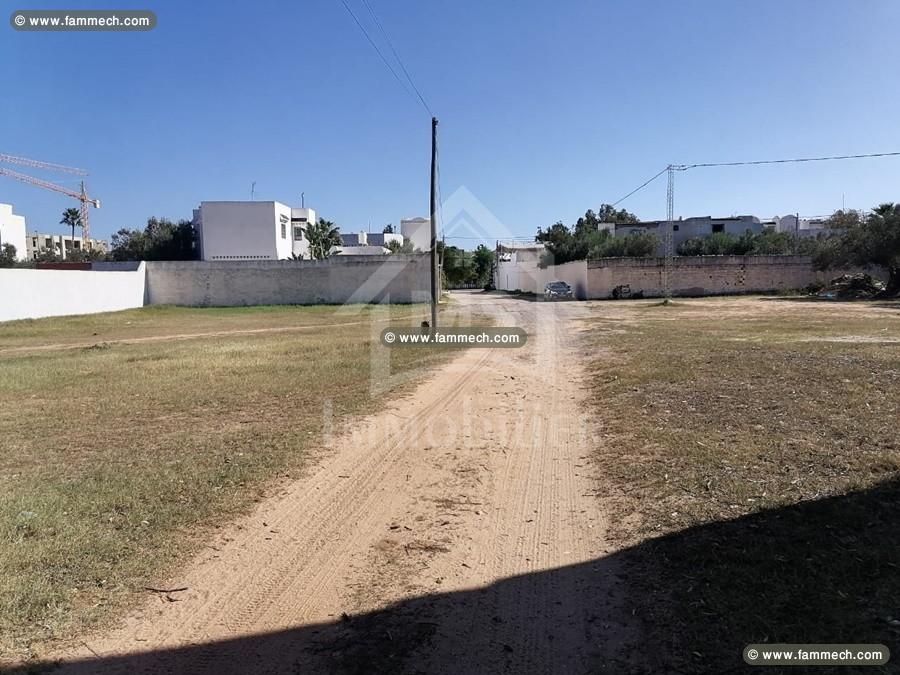 un Superbe Terrain 555m² à Vendre à HAMMAMET SUD 