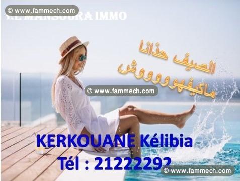 un superbe terrain à 800m de plage kerkouane
