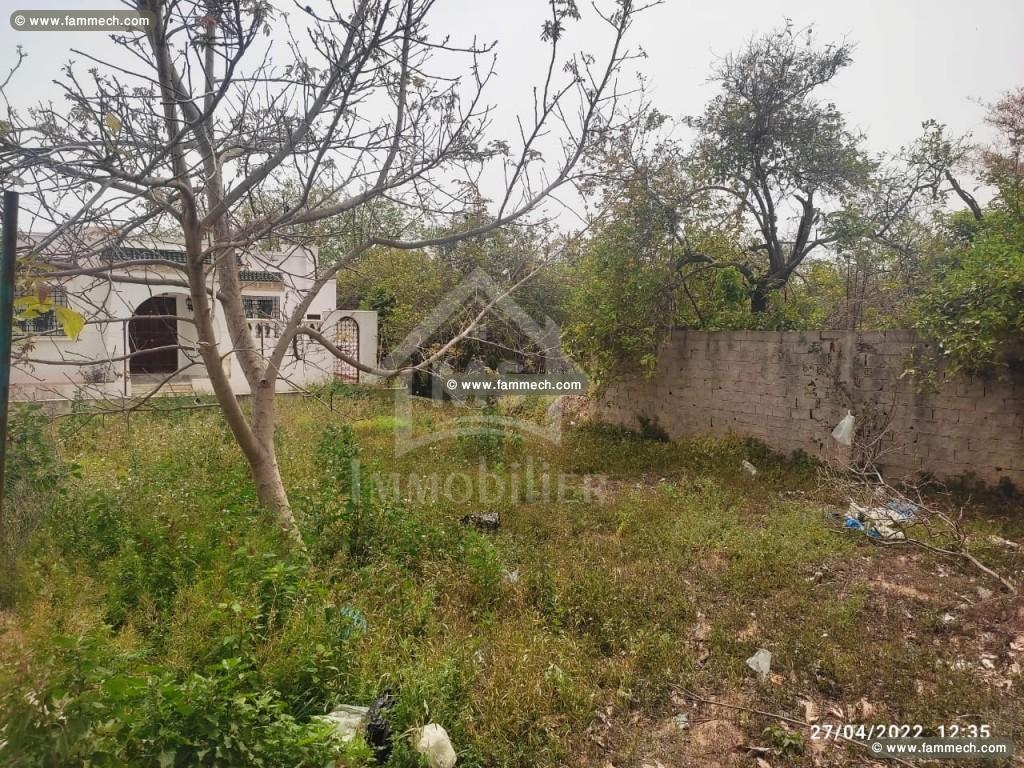 Un superbe terrain à vendre à Hammamet 51355351