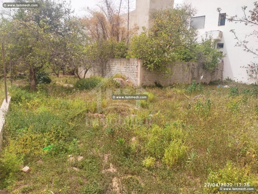 Un superbe terrain à vendre à Hammamet 51355351