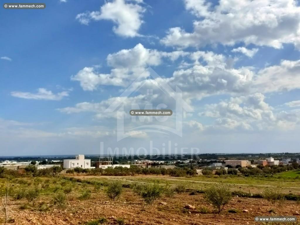 UN SUPERBE TERRAIN à VENDRE à HAMMAMET SUD