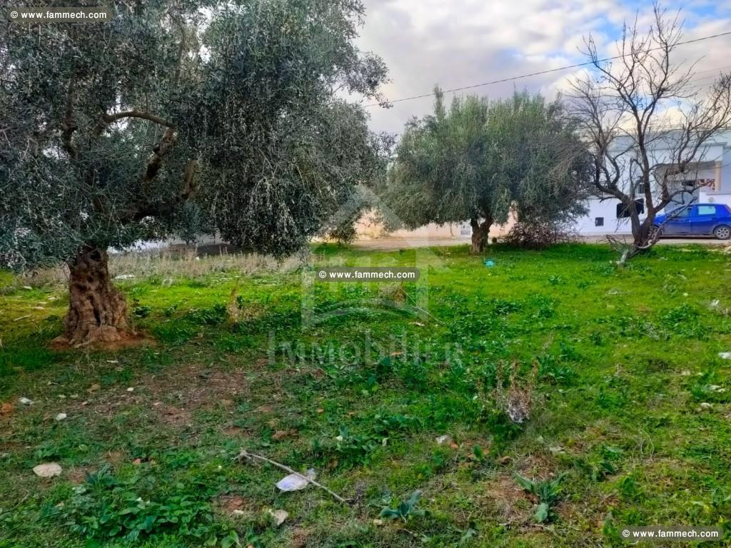 UN Superbe Terrain à Vendre à HAMMAMET SUD 