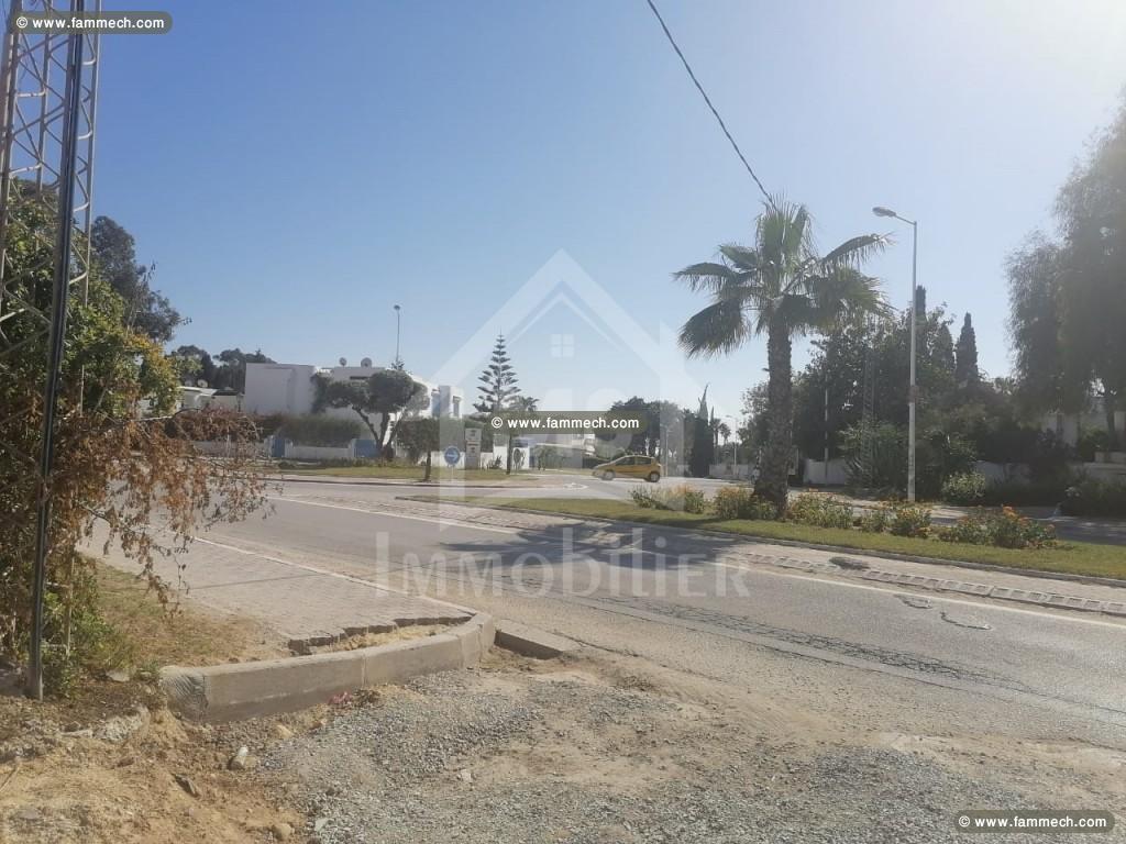 un superbe Terrain à Vendre à HAMMAMET Centre 