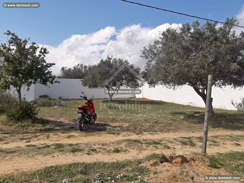Un superbe terrain à vendre à Hammamet 51355351