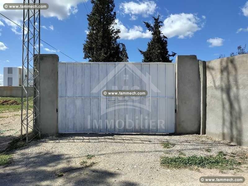 Un superbe terrain à vendre à Sidi Hammed 51355351