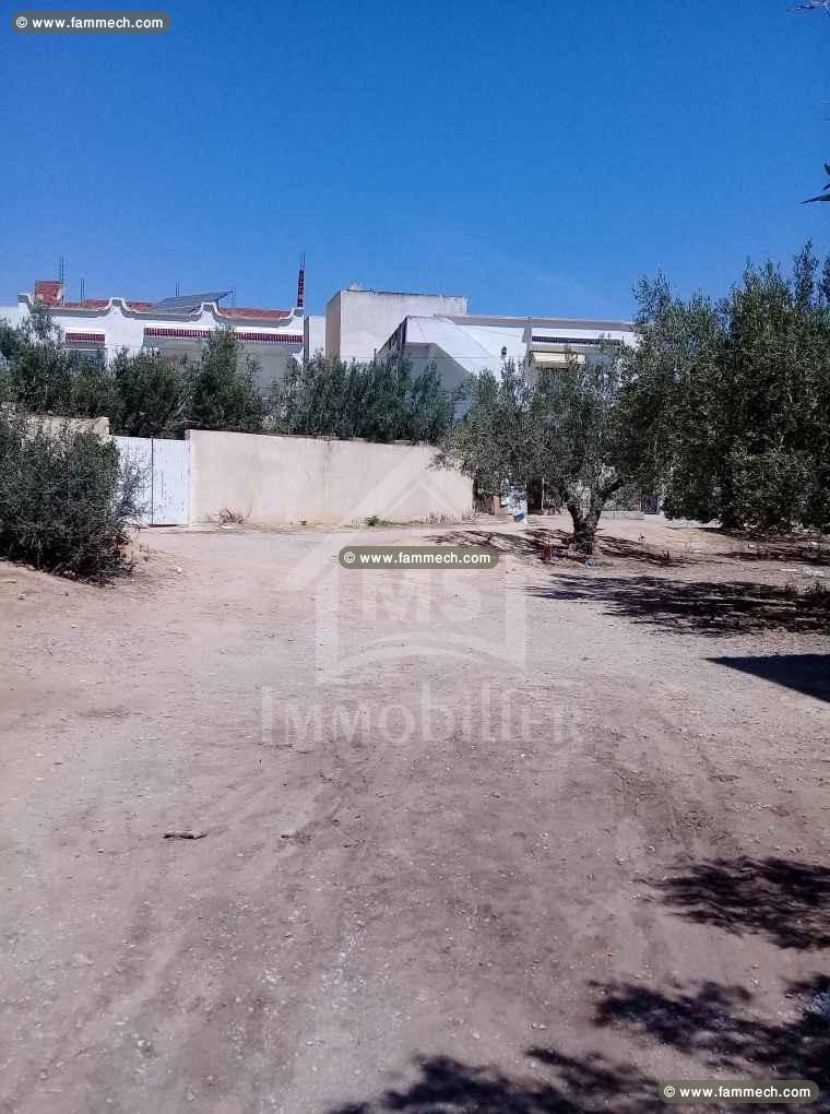 Un superbe terrain à vendre à Mrezga à 120 MD