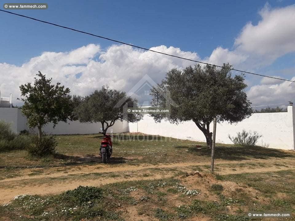 Un superbe terrain de 320 m² à vendre à 80 MD 