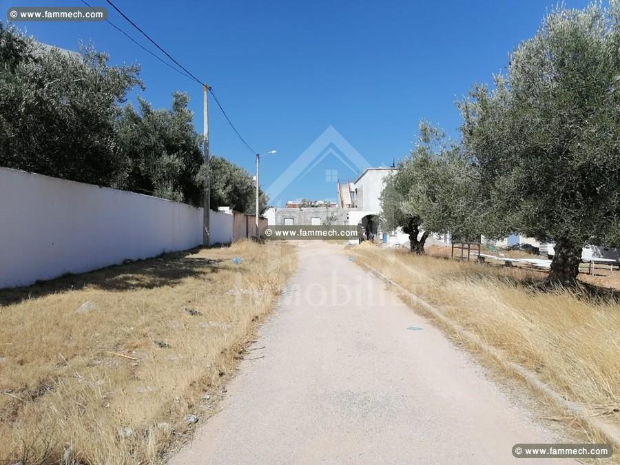 Un superbe terrain de 500 m² à vendre à 200 MD