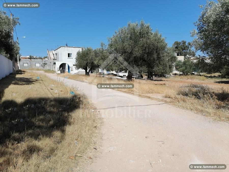 Un superbe terrain de 500 m² à Birbourgba à vendre