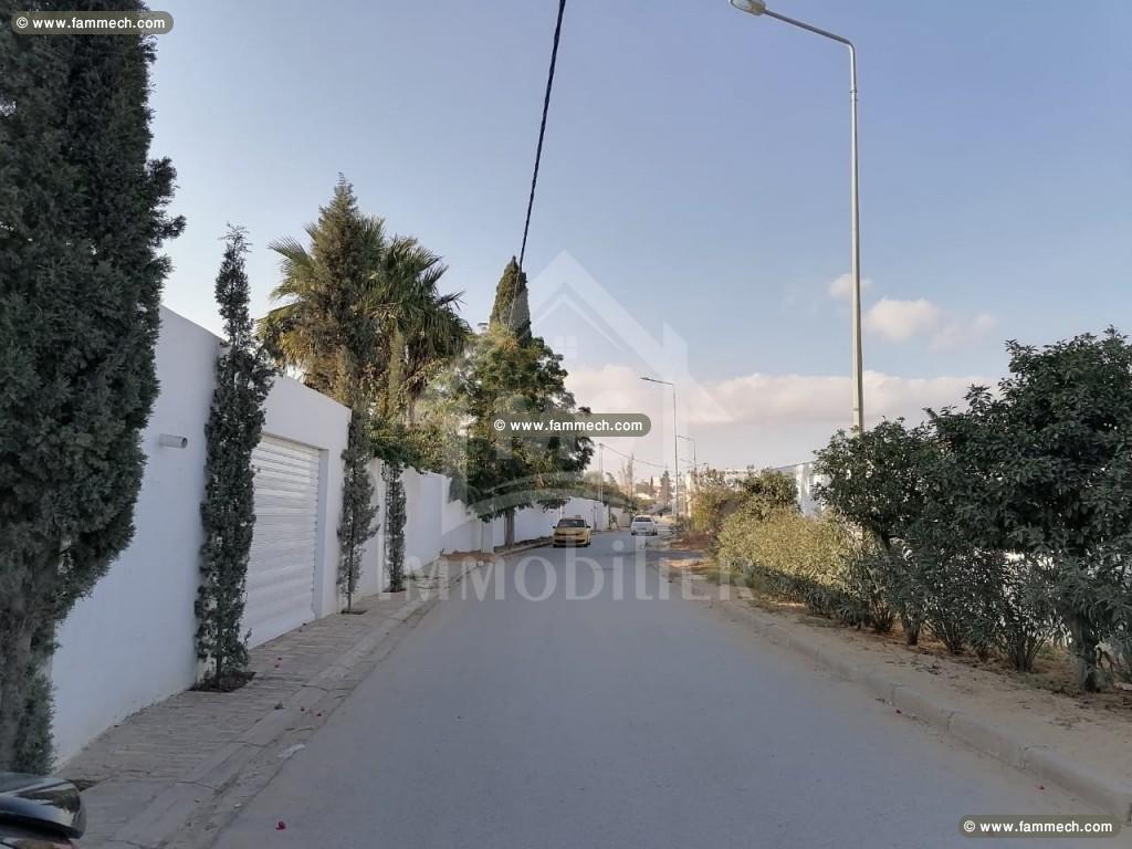 un terrain 1000m² à 195MD à HAMMAMET 51333131