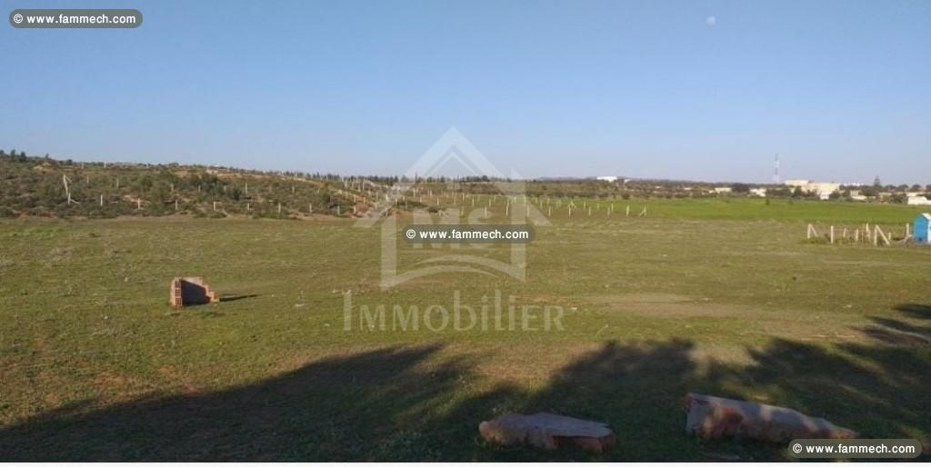 UN TERRAIN 1000M² À VENDRE À HAMMAMET SUD