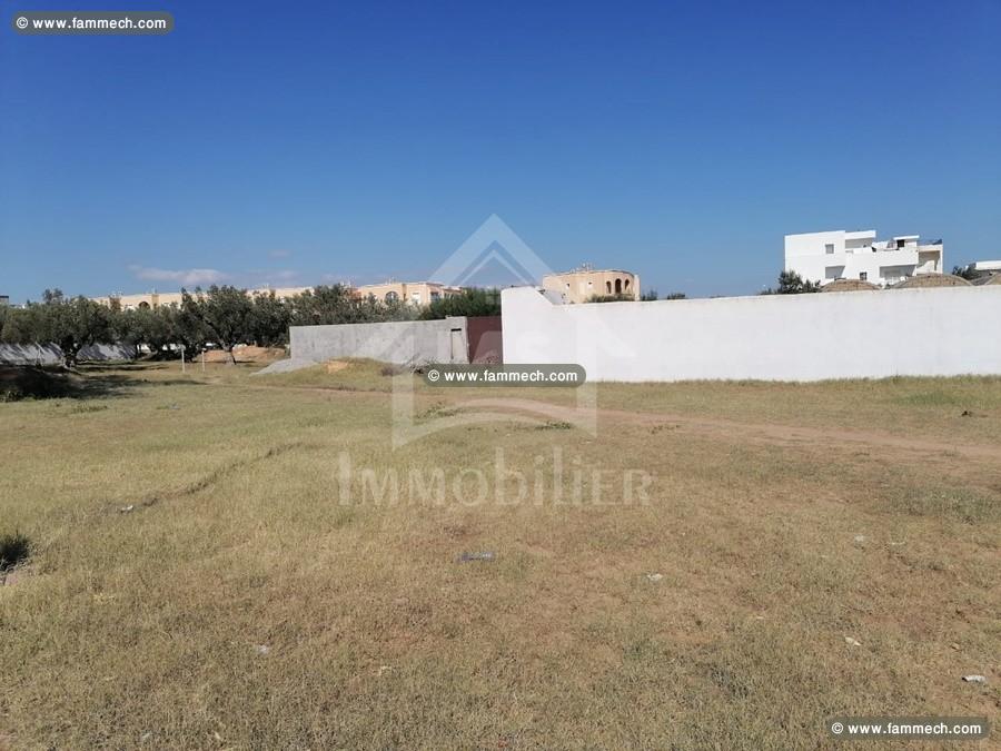 un TERRAIN 555m² à VENDRE à HAMMAMET SUD 51333131