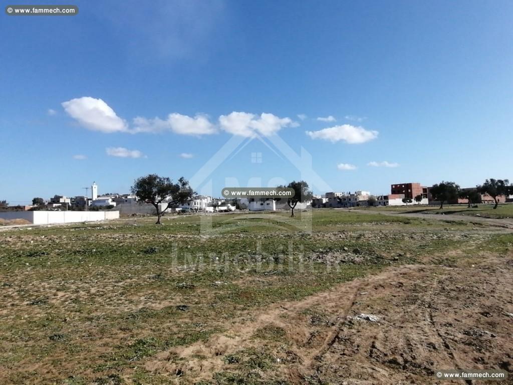Un terrain à Hammamet