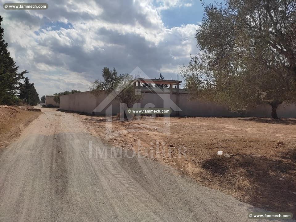 Un terrain à Hammamet à vendre à 90 MD 51355351