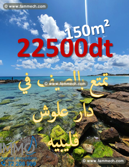 un terrain a vendre 