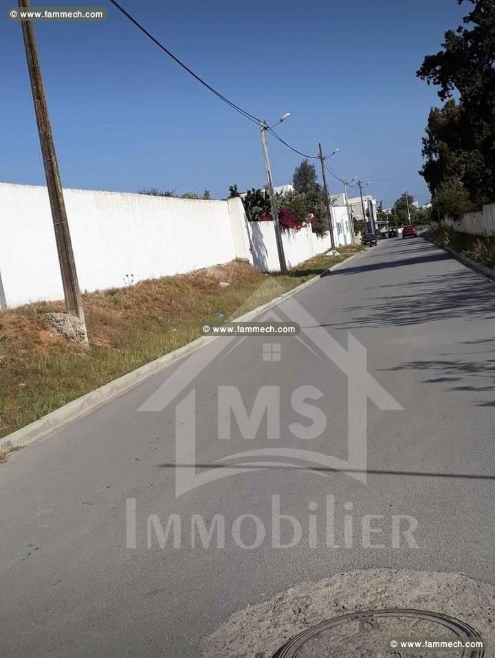 Un terrain à vendre à 302 MD à Hammamet 51355351