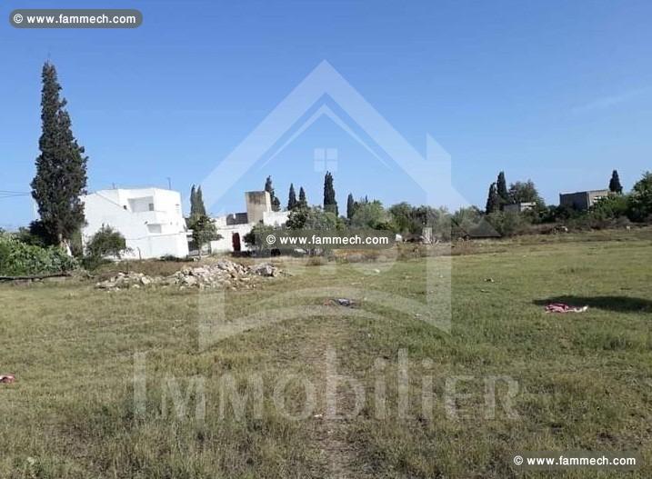 Un terrain à vendre à 302 MD à Hammamet 51355351