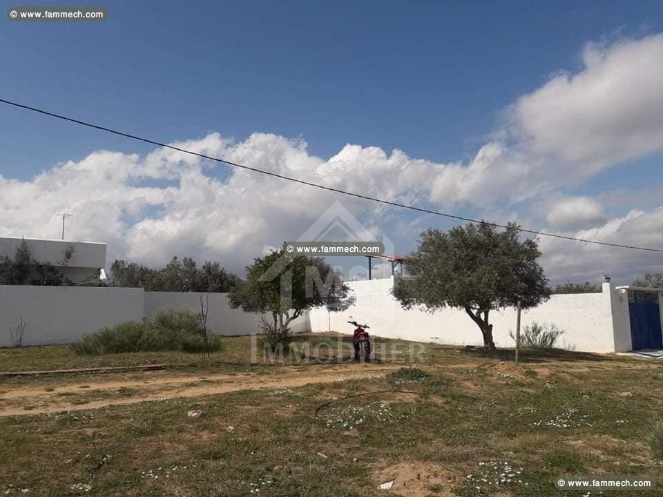 Un terrain à vendre à 80 MD 51355351