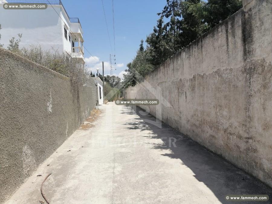 Un terrain à vendre à birbourgba 51355351