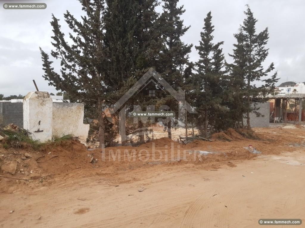Un terrain à vendre à Hammamet Zone Craxi à 100 MD