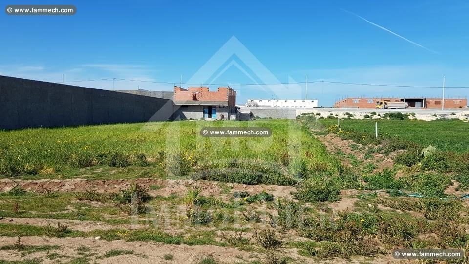 Un terrain à vendre à Korba 51355351
