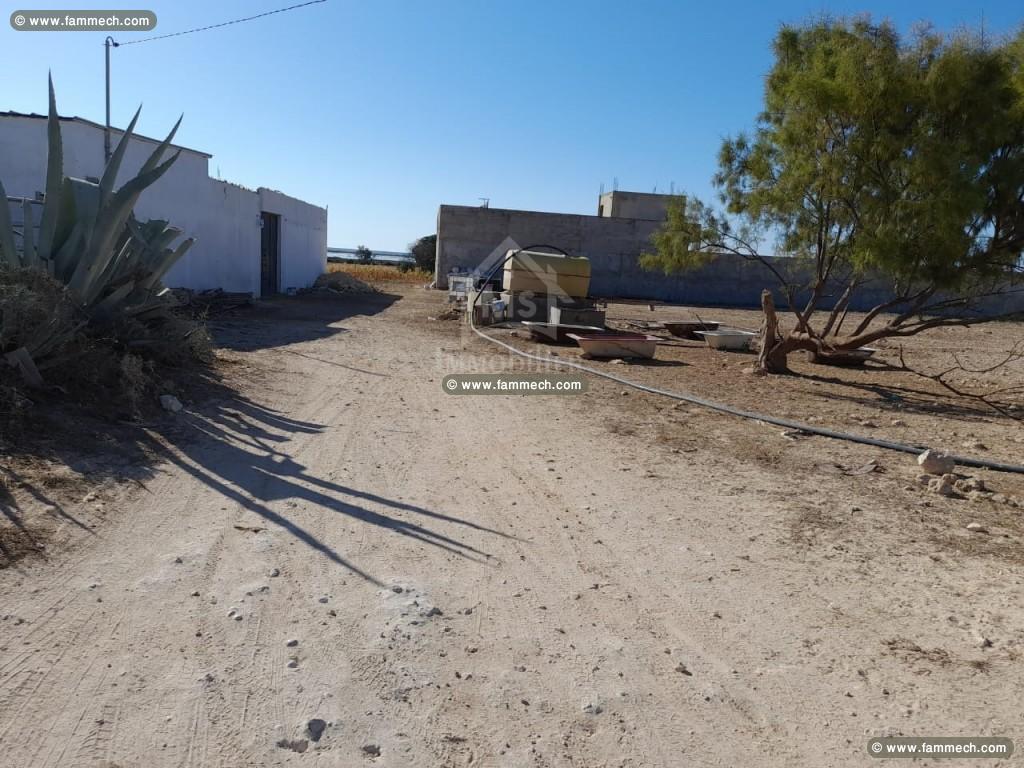 Un terrain à vendre à Maamoura 51355351