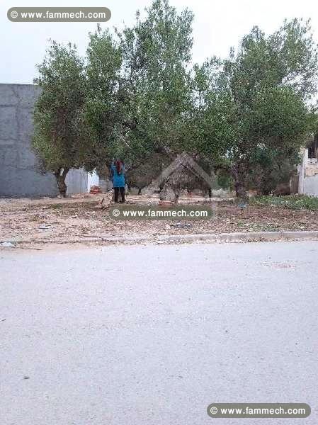 Un terrain à vendre à Mrezga 51355351