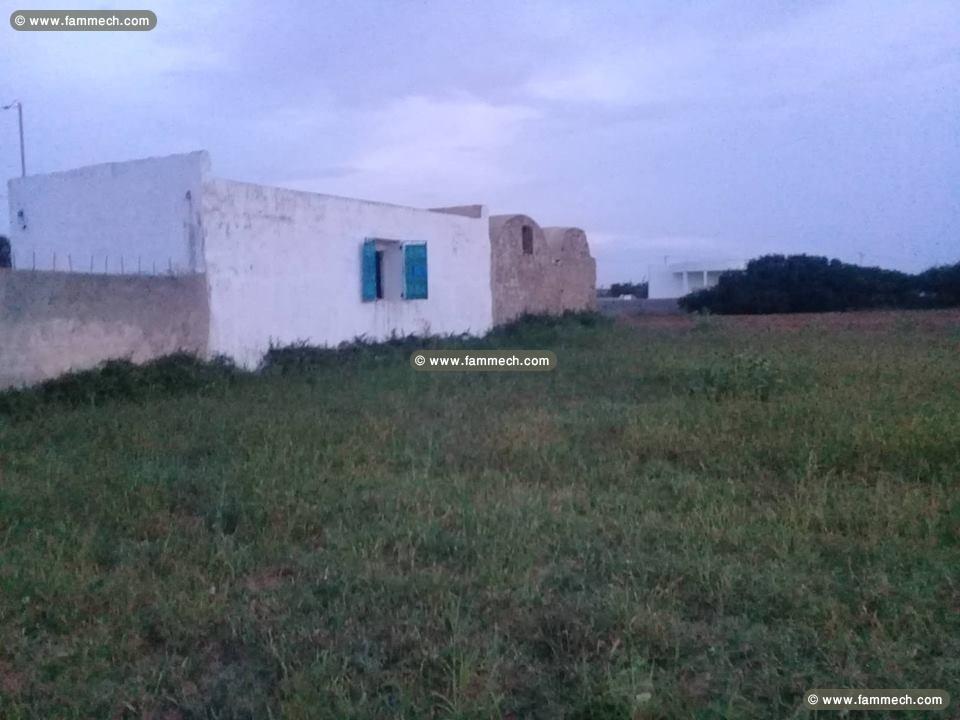 un terrain agricole  a EL-Haouaria 